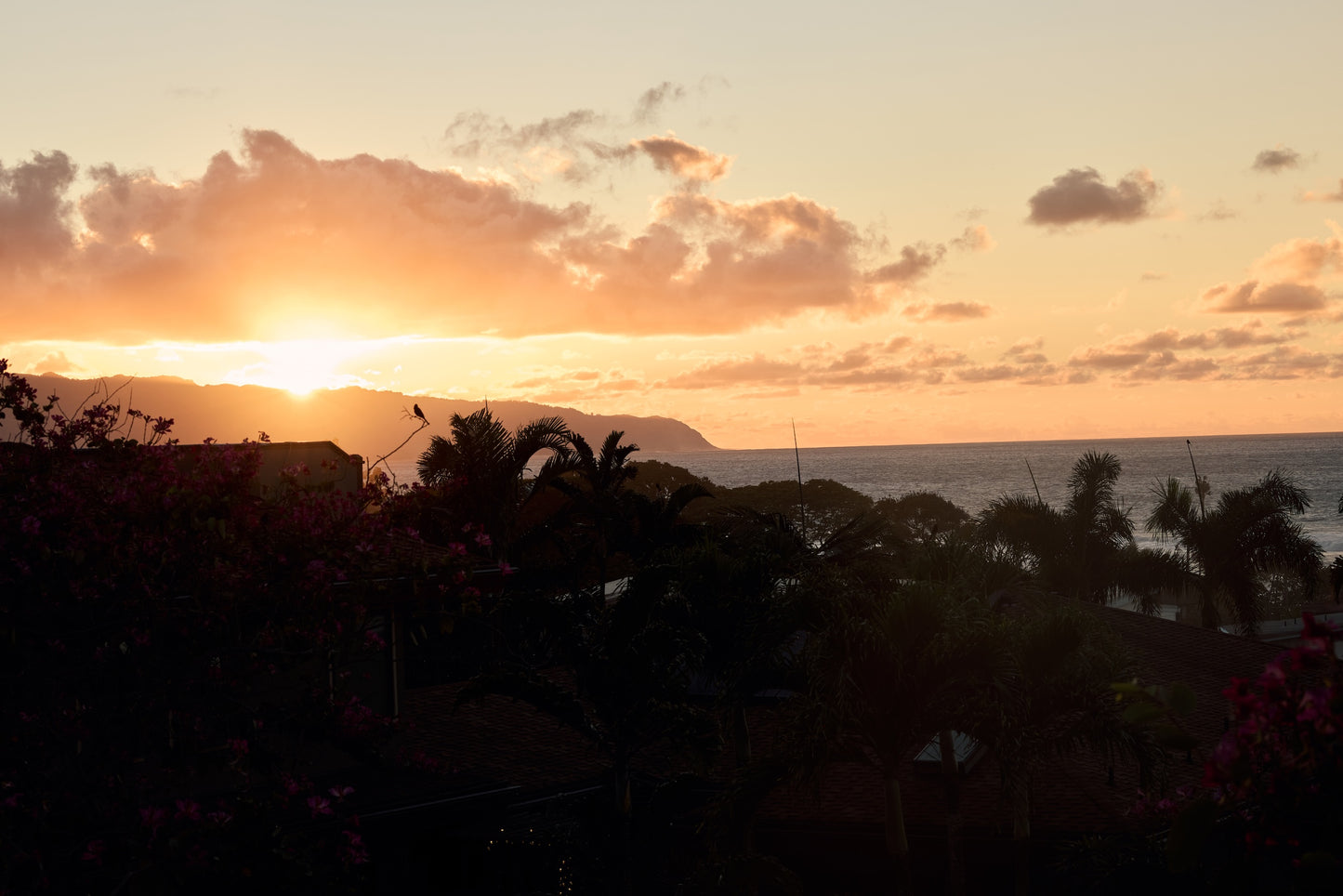 Luxury family villa with Ocean views - 5 Bed